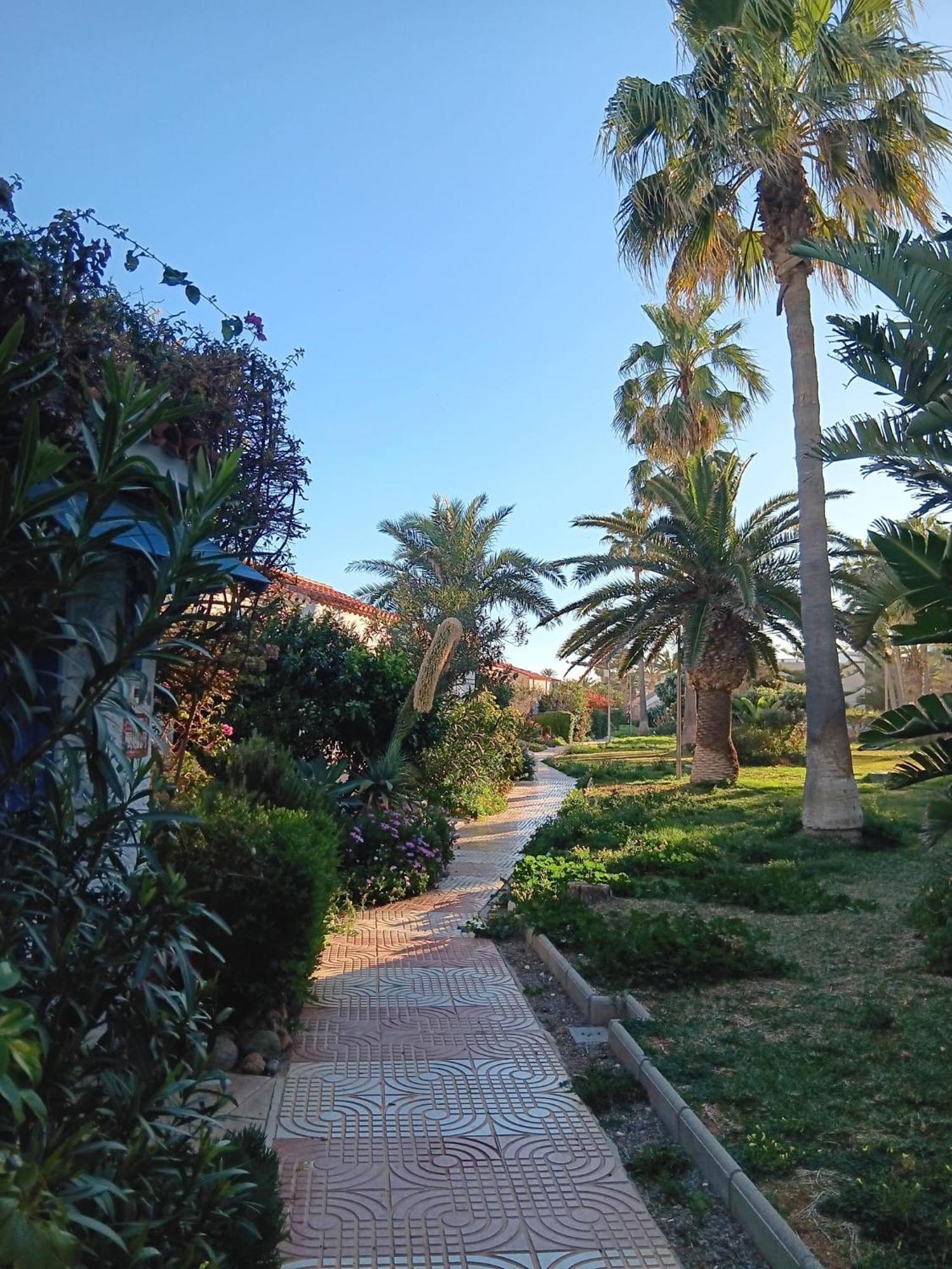 Tropicana Playa Apartment *